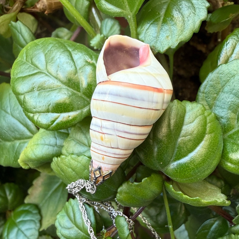 Striped Seashell Pendant Necklace